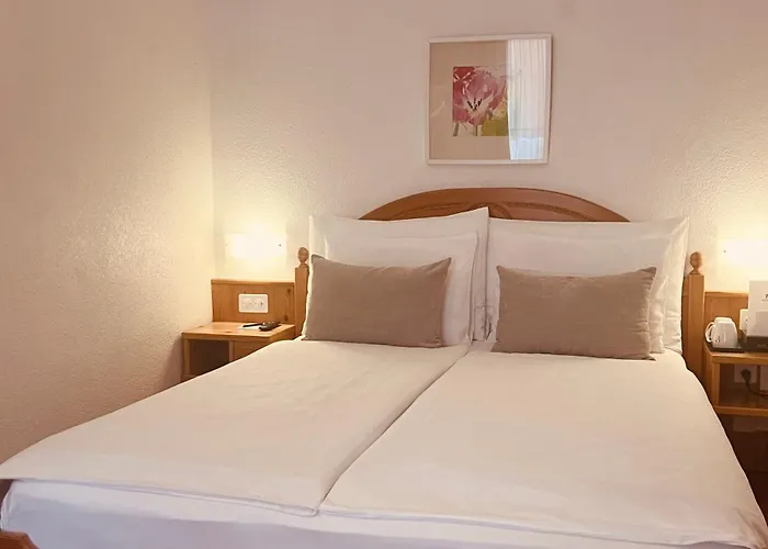 酒店 阿斯科纳广场餐厅酒店